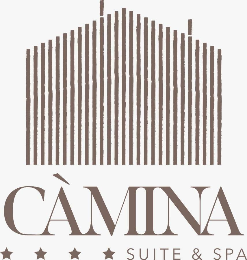 Camina Suite And Spa コルティーナ・ダンペッツォ エクステリア 写真